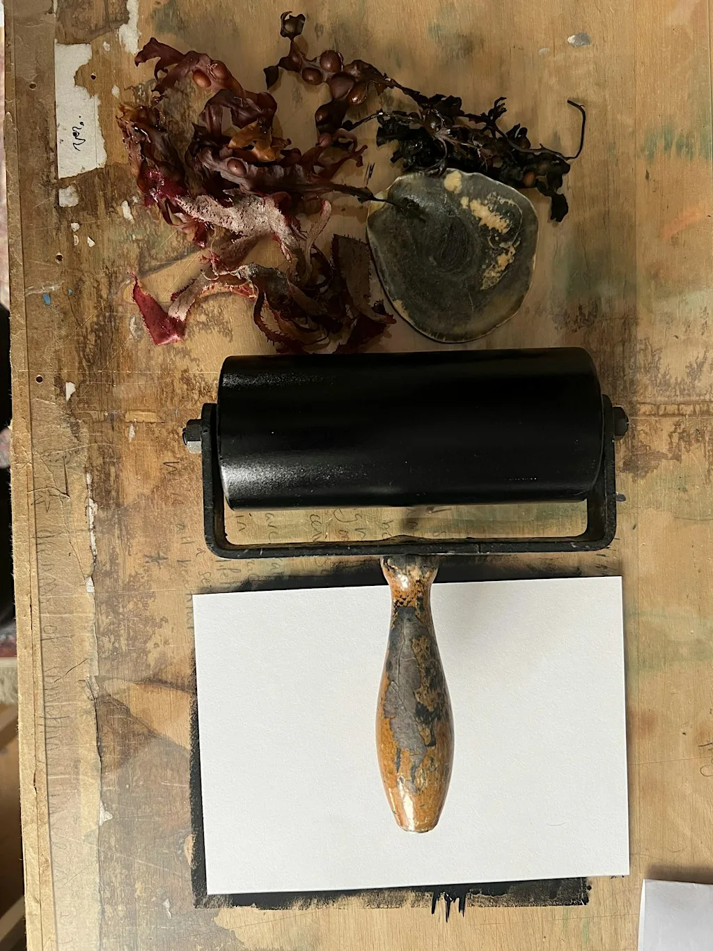 Nature mono types (monoprinting) at The Cow Shed