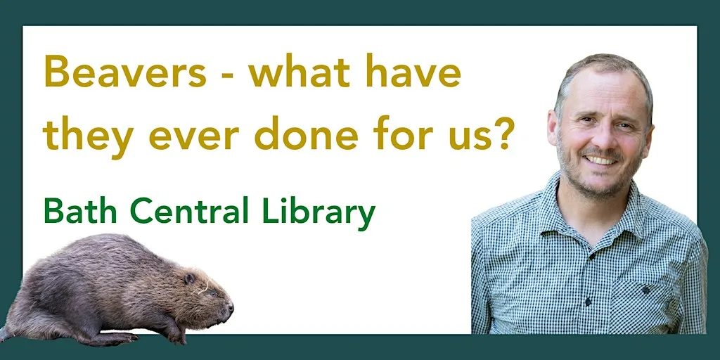 Beavers, what have they ever done for us?