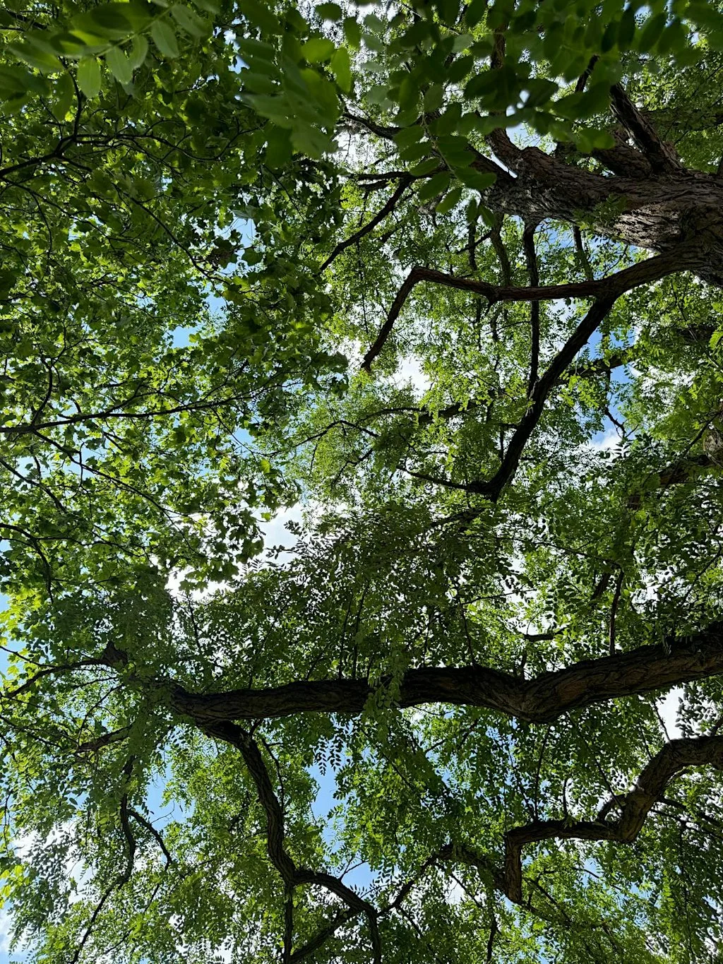Seasonal Somatic Yin Yoga at Space at the Mill