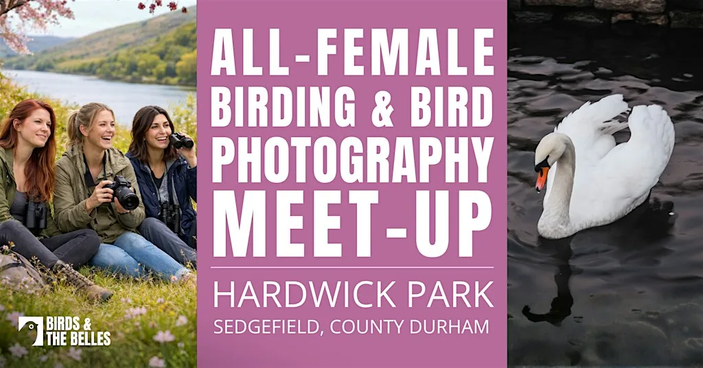All-Female Bird & Bird Photography Morning