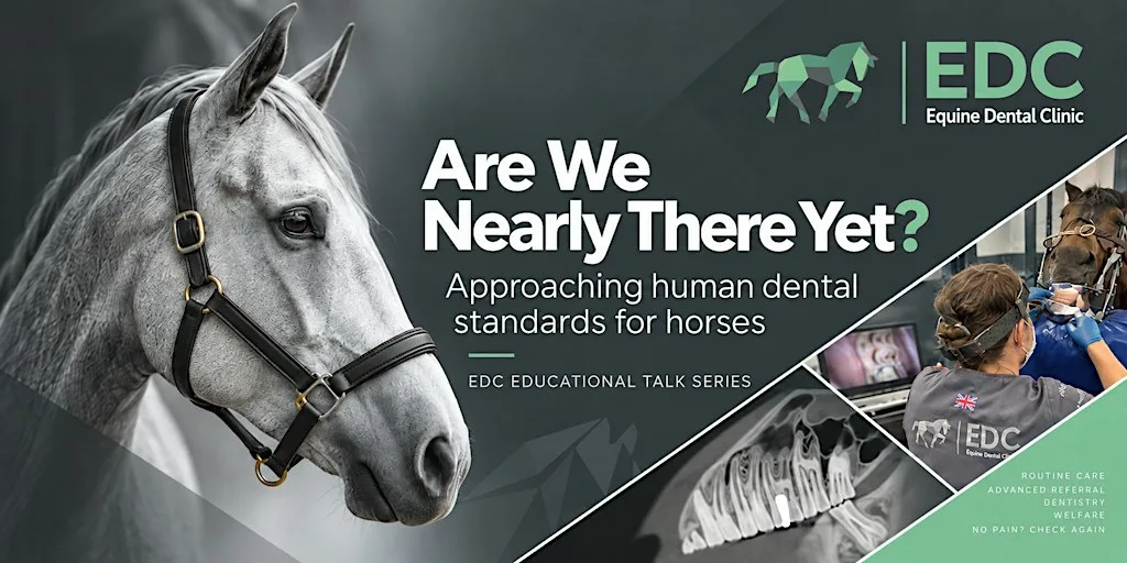 Are We Nearly There Yet? How close is equine dentistry to human dentistry?