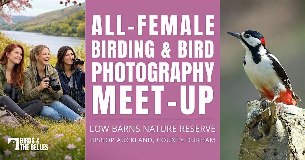 All-Female Bird & Bird Photography Morning