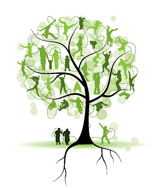 Family Constellations