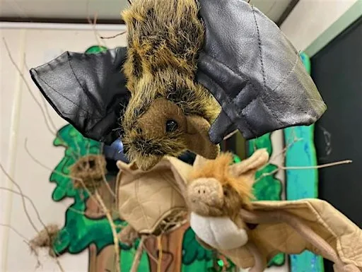 Batty Workshop at Ryton Pools Country Park 5yrs +