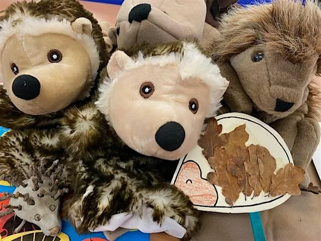 Autumn hedgehog fun at Ryton Pools Country Park 5yrs +