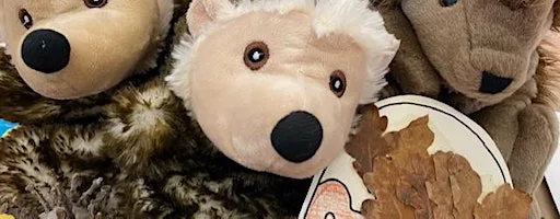 Afternoon Session : Autumn hedgehog fun at Ryton Pools Country Park 5yrs +