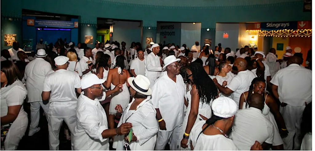 StepnGroove White Party - Club Entry, Dinner, Karaoke, at Lace Bar