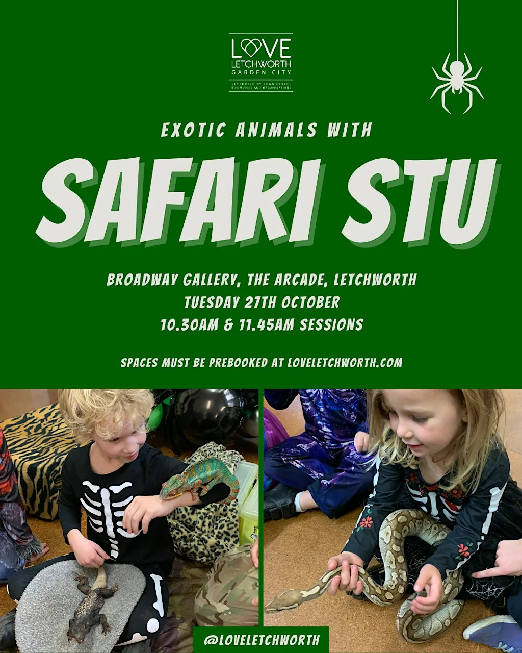 Safari Stu 10.30am