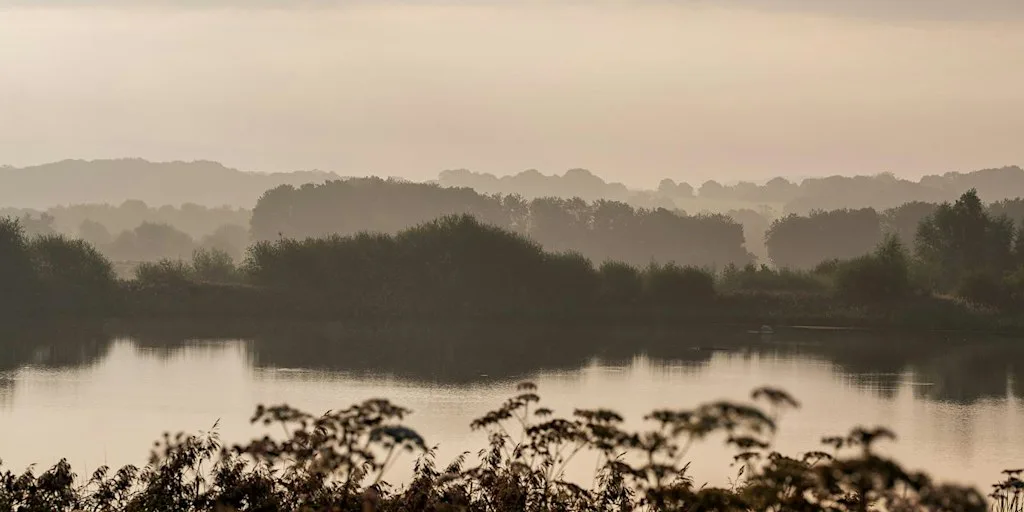 Prehistoric Lancashire Guided Walk - Wed 7 Oct 2026 at Brockholes Nature Reserve