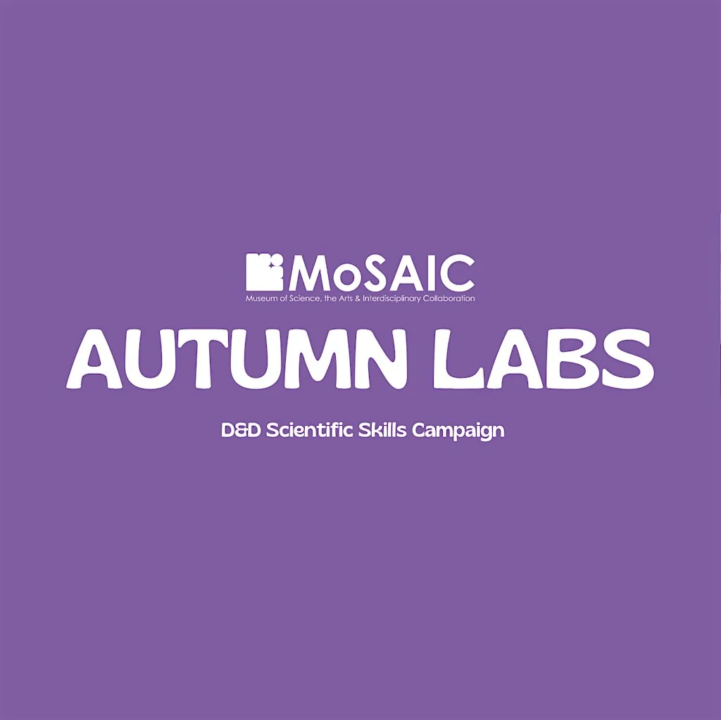Autumn Labs: Dungeons and Dragons Scientific Skills Campaign (Fri 30th Oct)