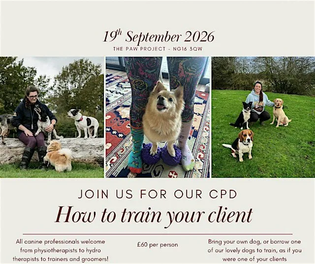 How to train your client