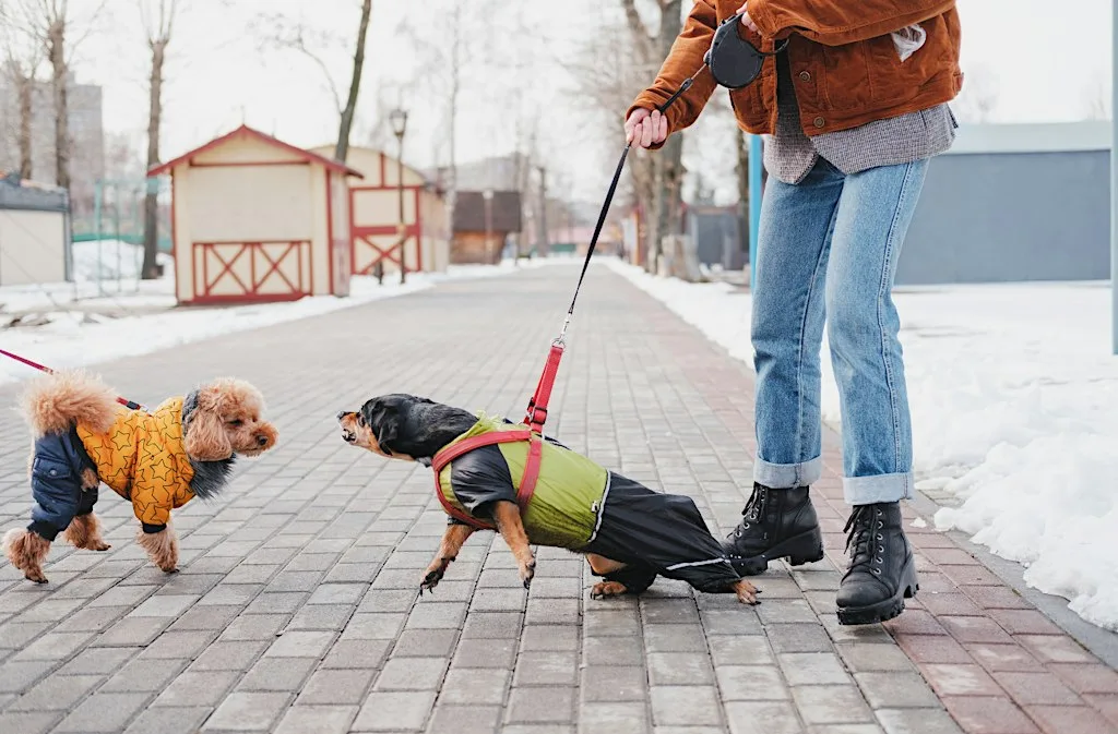 Seconds Matter: Emergency Interventions in Dog Fights and Bite Incidents