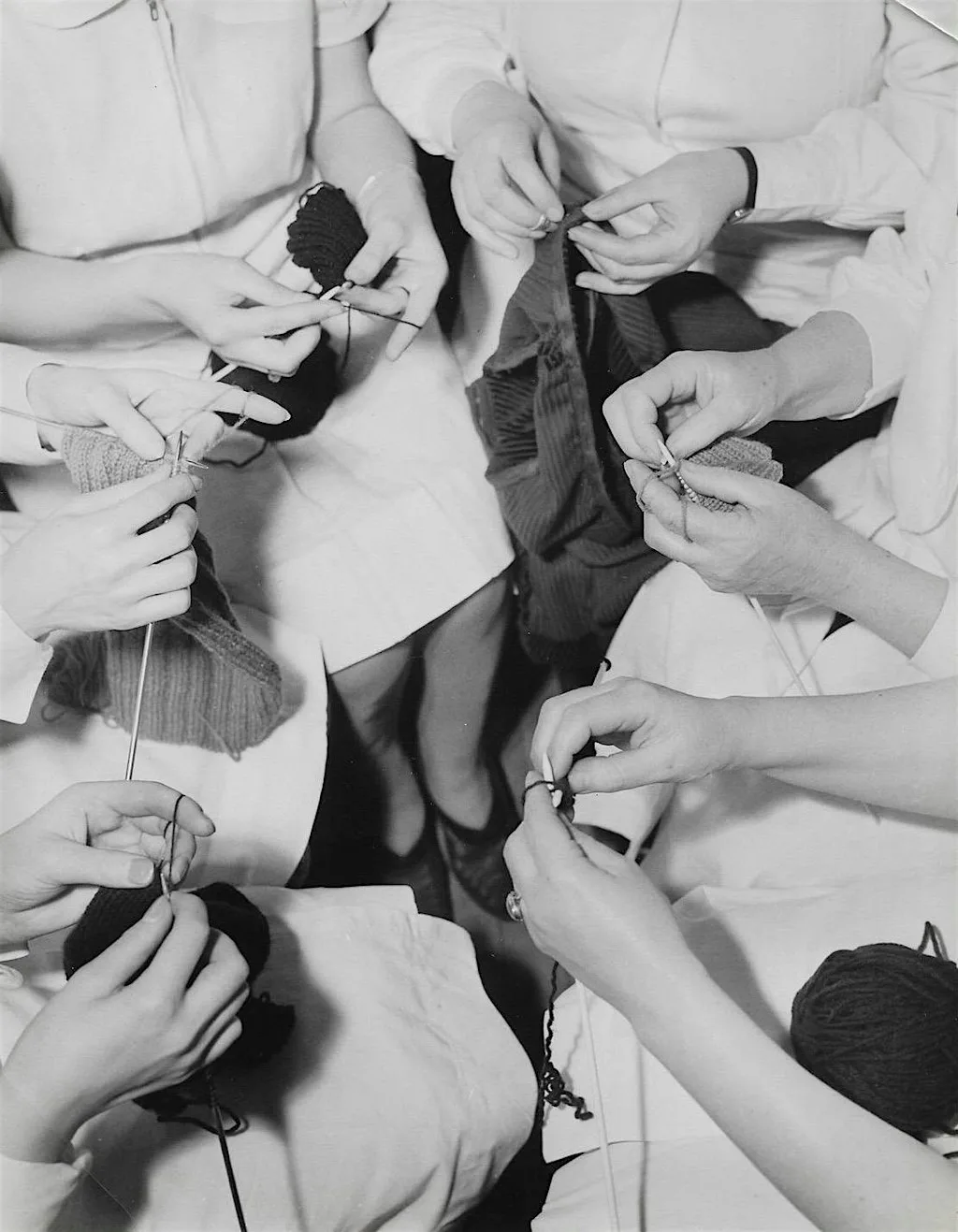 Beginners Knitting with Heidi Lou