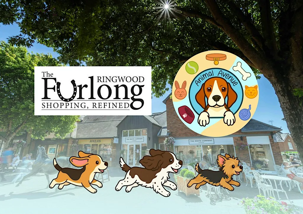 Paws at the Furlong - sponsored by Animal Avenue