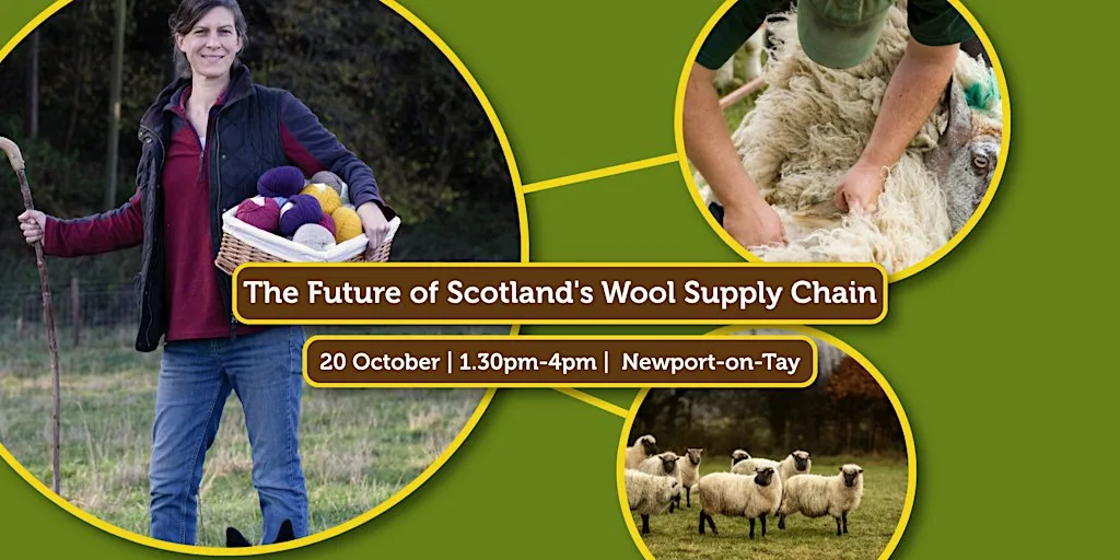 The Future of Scotland's Wool Supply Chain