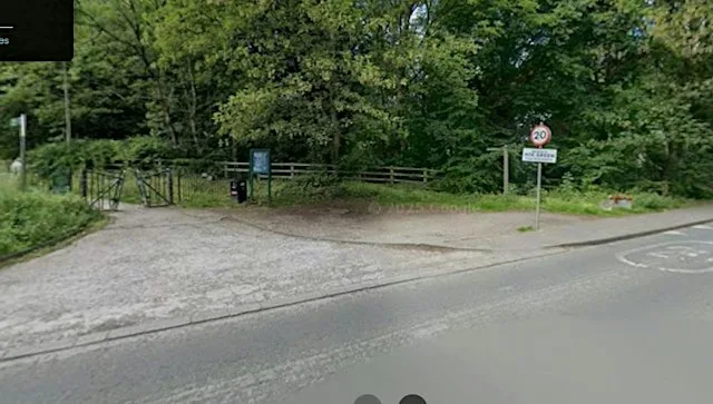 Worsley Woods Conservation Task at Greenleach Lane