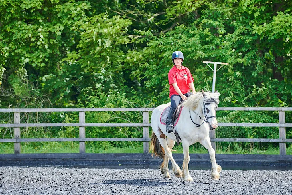 Christmas Showjumping Event