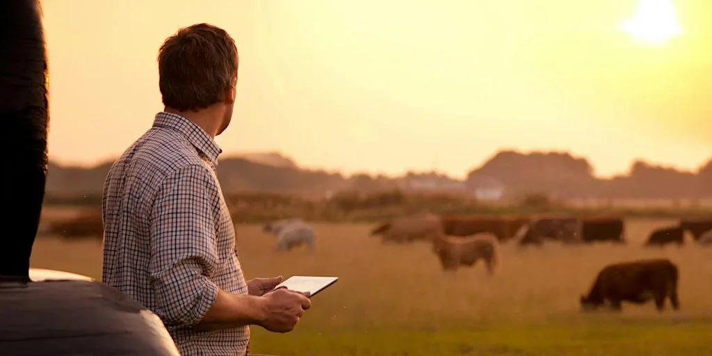 Cattle checking training - Free
