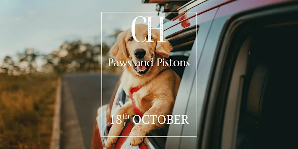 Paws and Pistons
