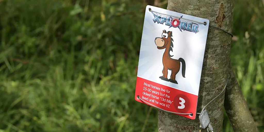 Halloween Xplorer Challenge at Brockholes Nature Reserve at Brockholes Nature Reserve