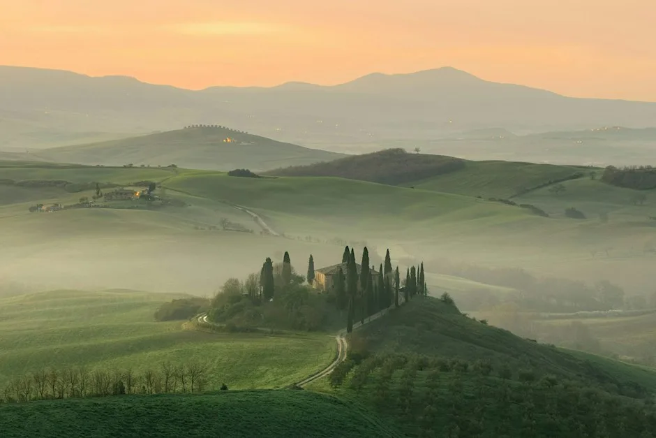 Kings and Queens: The Wines of Piedmont at Theatre of Wine - Blackheath