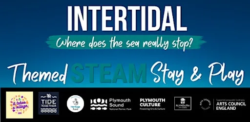 Intertidal: Exploring the tides through STEAM