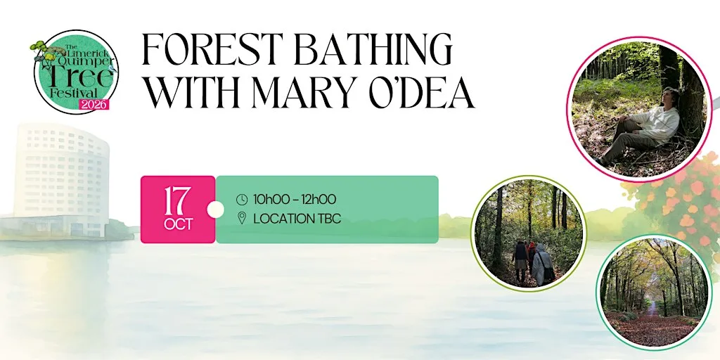 Forest Bathing with Mary O'Dea - Limerick Quimper Tree Festival at St John's Church