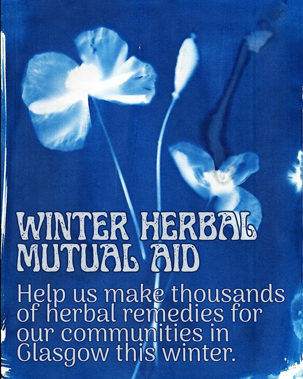 Herbal Solidarity Collective- Winter Herbal Mutual Air Medicine Making at Glasgow Autonomous Space