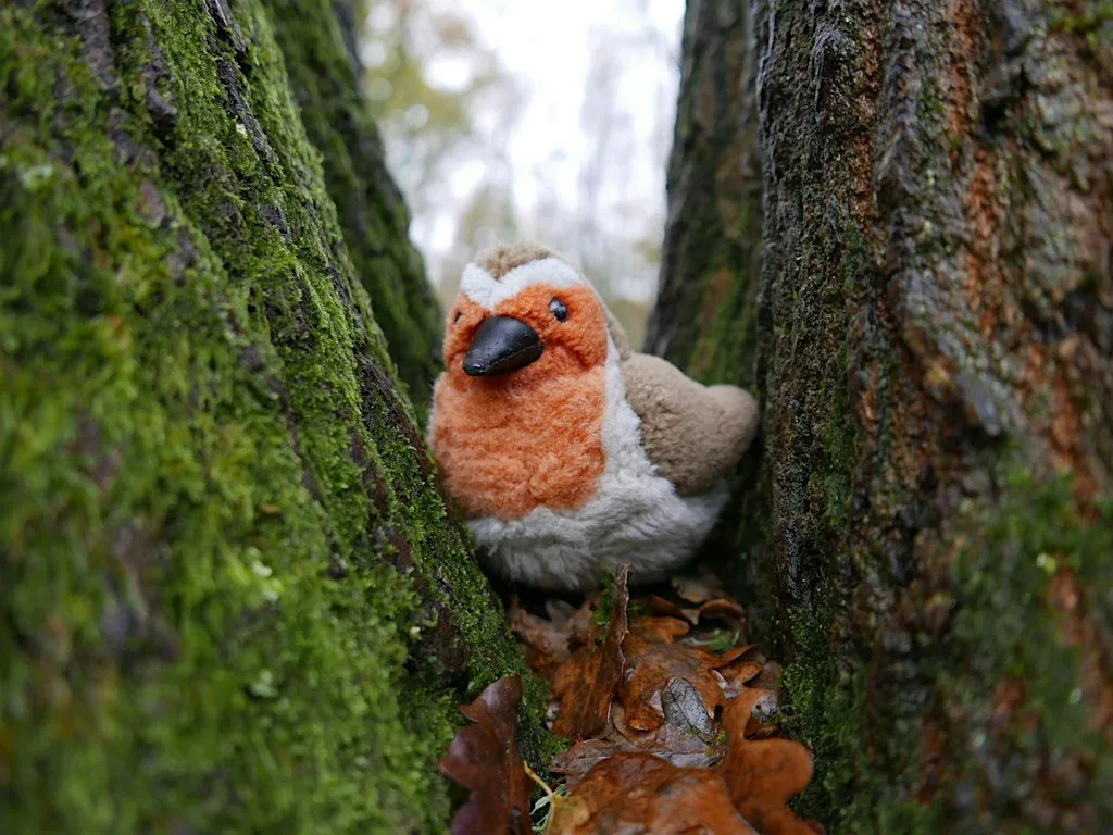 Festive Family Wild Play at Swanwick Lakes - Weekend Event at Swanwick Lakes Nature Reserve