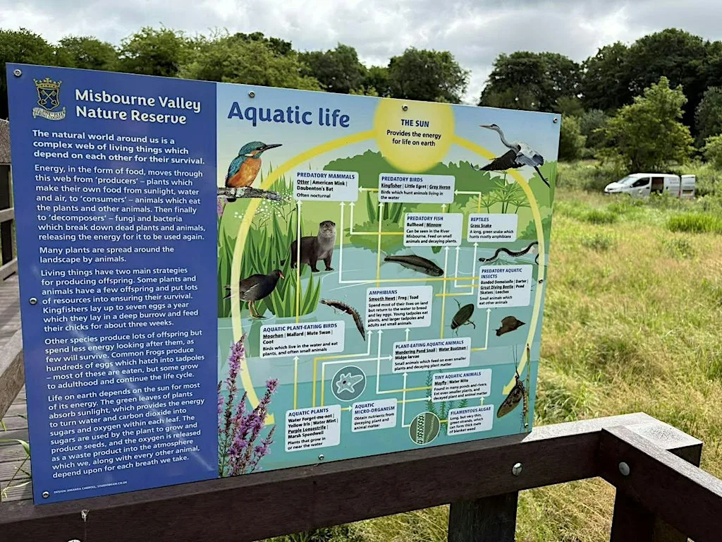 River Bank Works at Misbourne Valley Nature Reserve