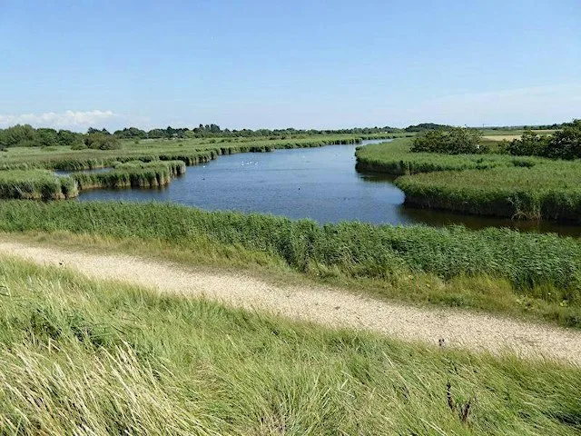 Free Thorney Island Nature Walk & Sound Recording at Emsworth Yacht Harbour Visitor Car Park