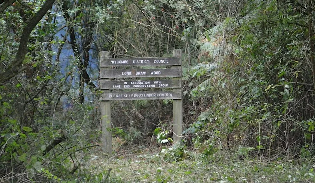 Long Shaw Woodland Day at Chiltern Rangers Depot