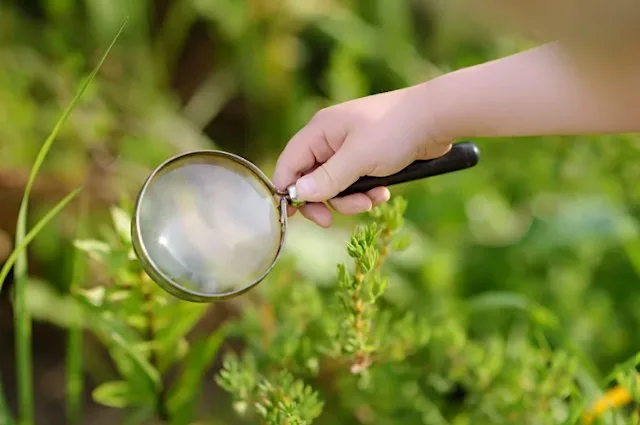 Funges Meadow Forest School Freshen Up