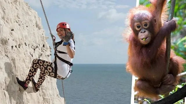 2026 Abseil for Animals