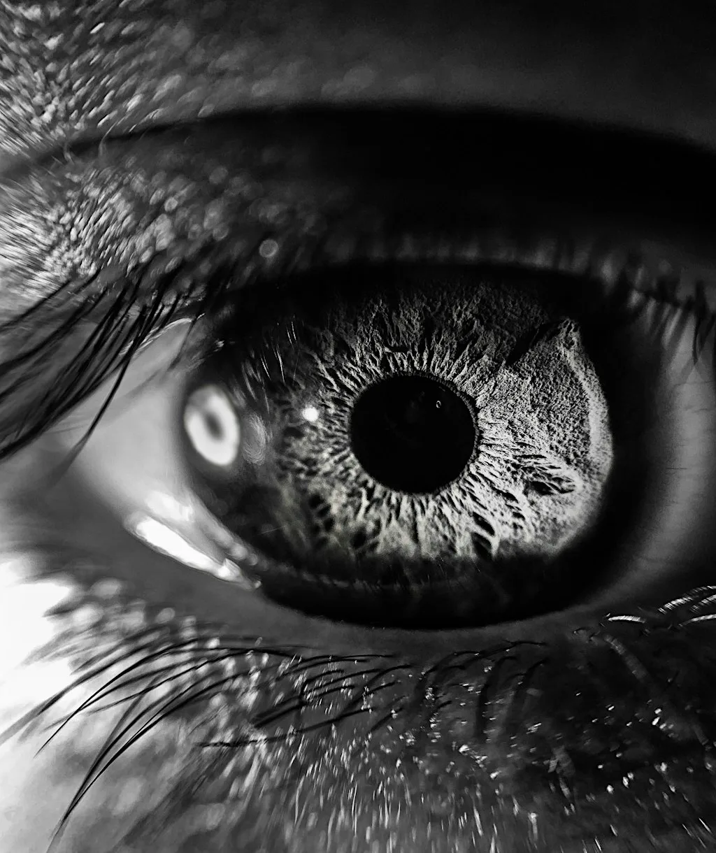 Eye of the Monster & Story Ceilidh