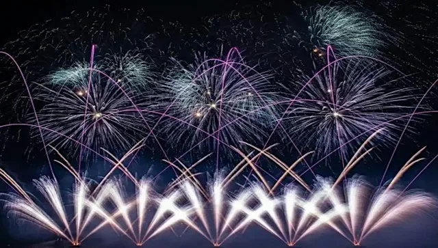 Regis Manor Fireworks Display at Regis Manor School