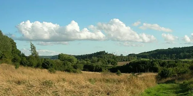 Nature Reserve Work Party- Wessington at Wessington Wood & Pasture