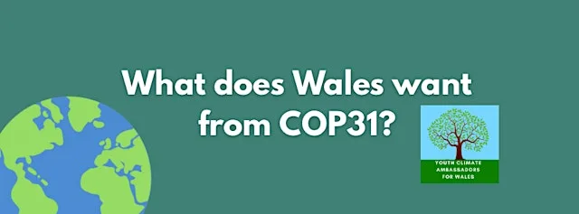 What does Wales want from COP? A panel event hosted by the YCA. at Temple of Peace