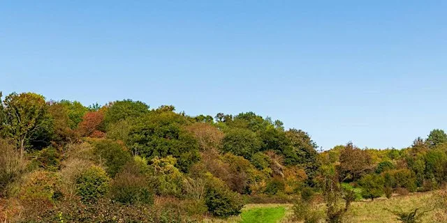Nature Reserve Work Party- Wessington