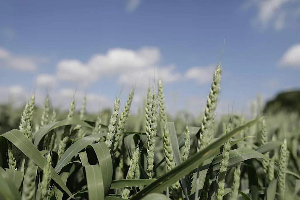 The Future of Farming: Biogas and Sustainable Food Production at University of Lincoln Riseholme Park Campus Conference Centre