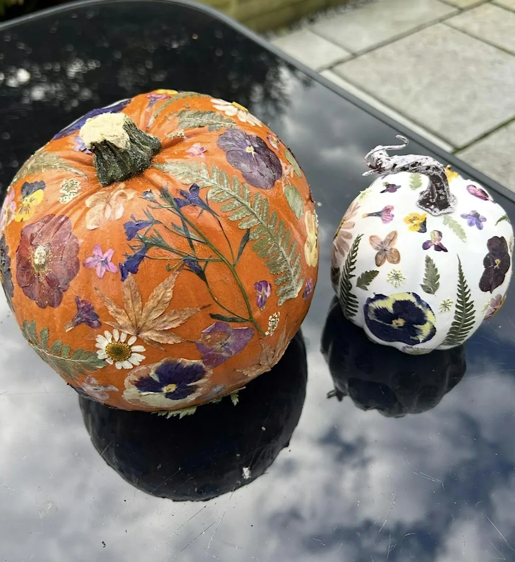 pumpkin time with pressed flowers at Gibbestown Hall