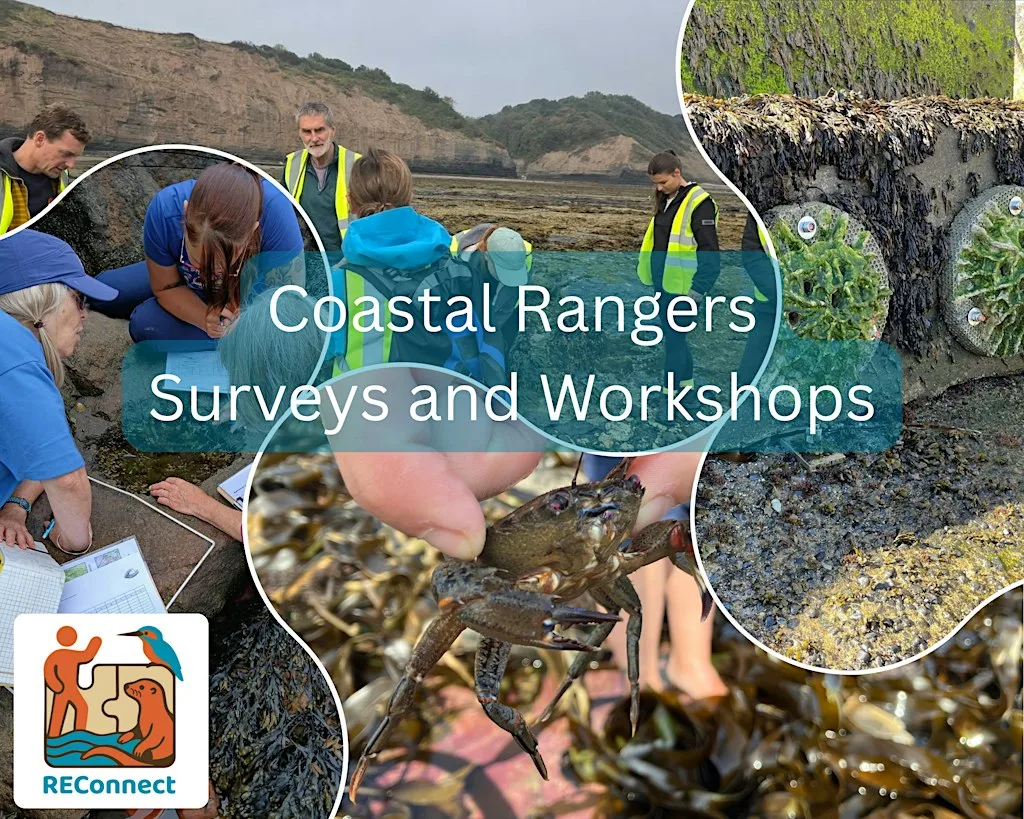 Coastal Rangers - Intro to Citizen Science Methodology - Scarborough at SEA LIFE Scarborough