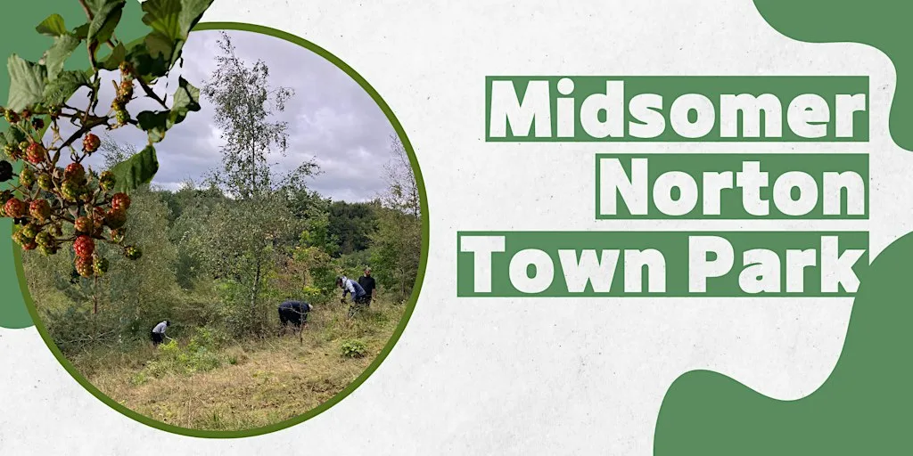 November session at Midsomer Norton Town Park