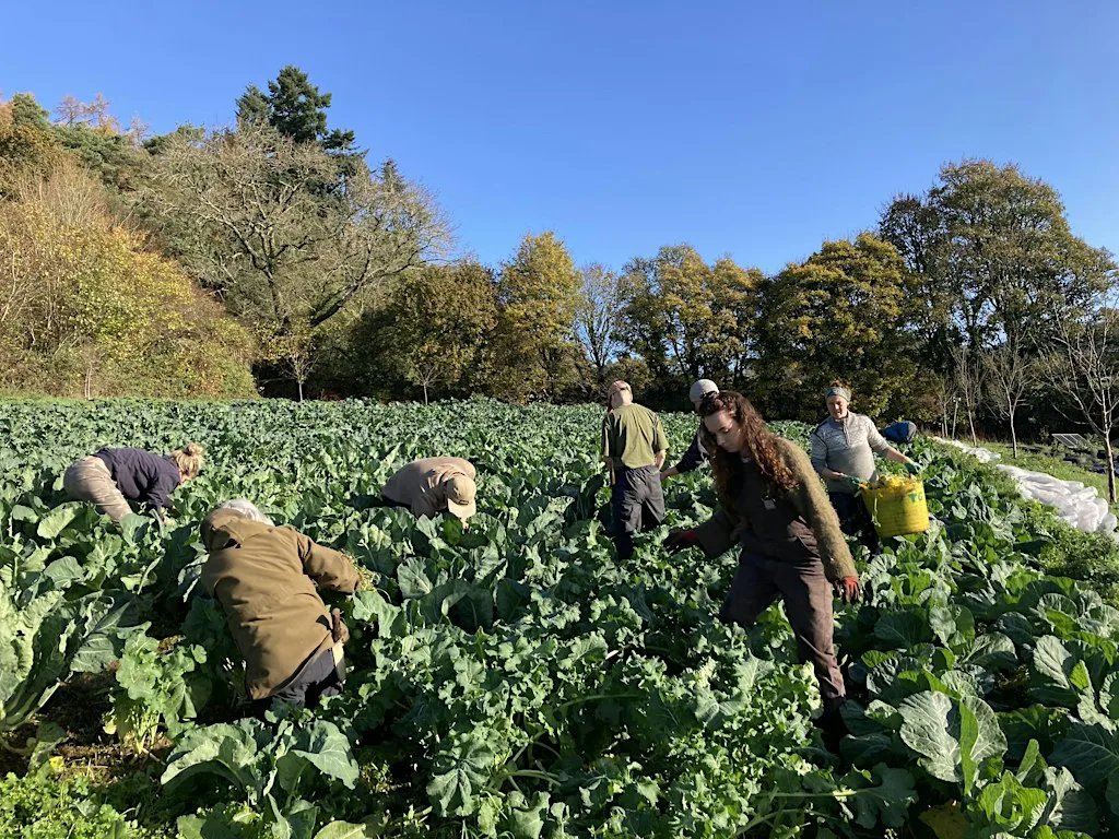 Teign Greens October Volunteer Morning! at Oxen Park Farm