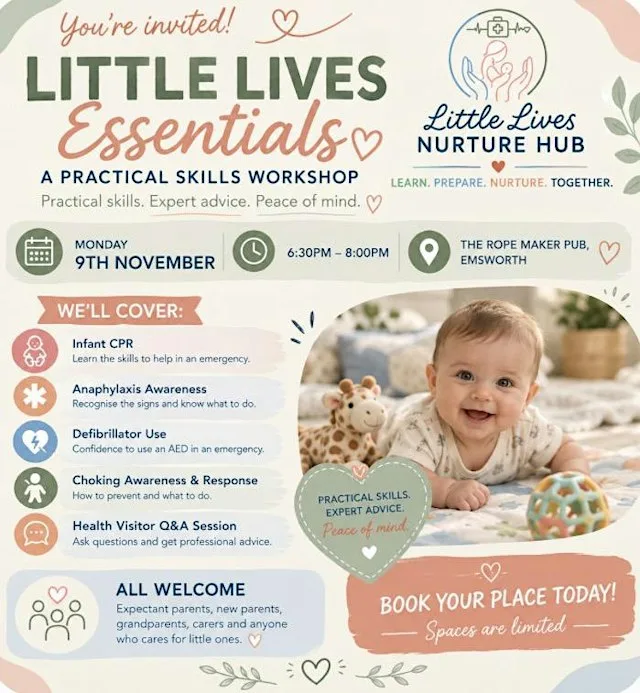 Little Lives Essentials Workshop