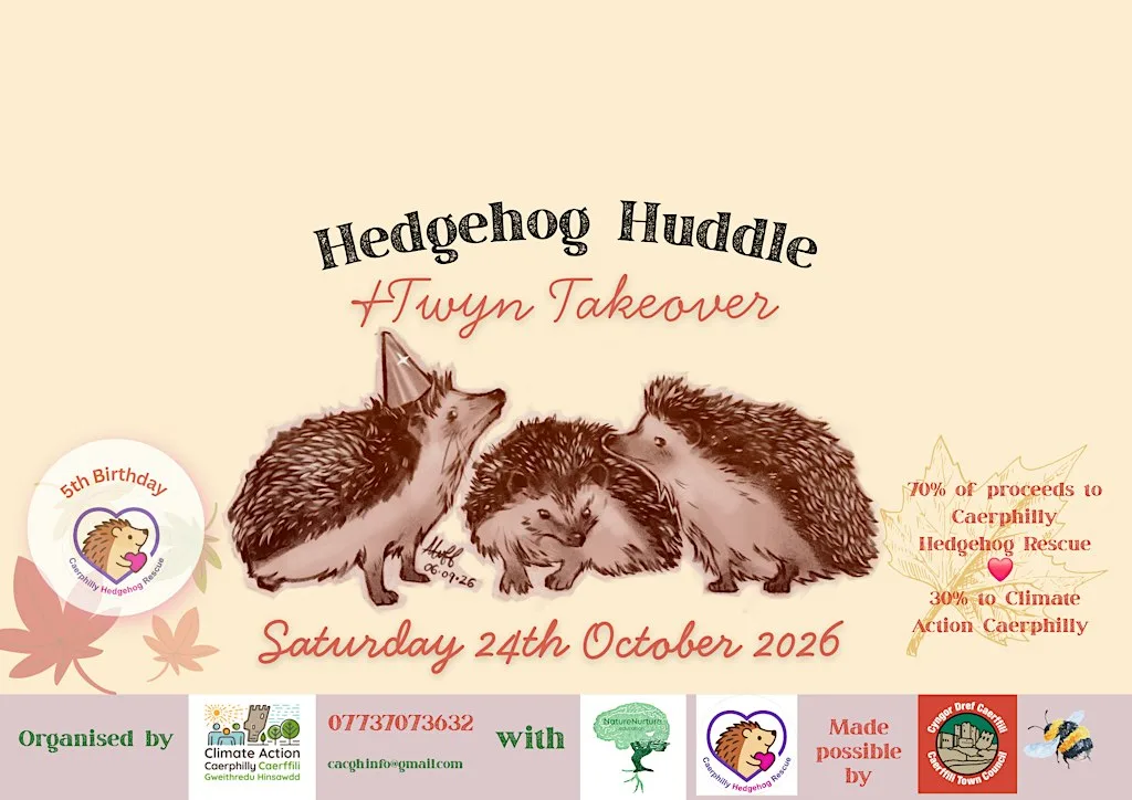 Hedgehog Huddle and Twyn Takeover