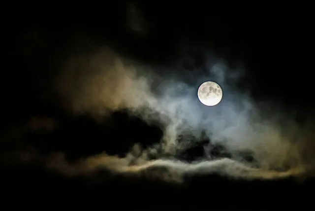 Full Moon Singles Walk - the Bull Island - 40s to mid 50s at The Wooden Bridge