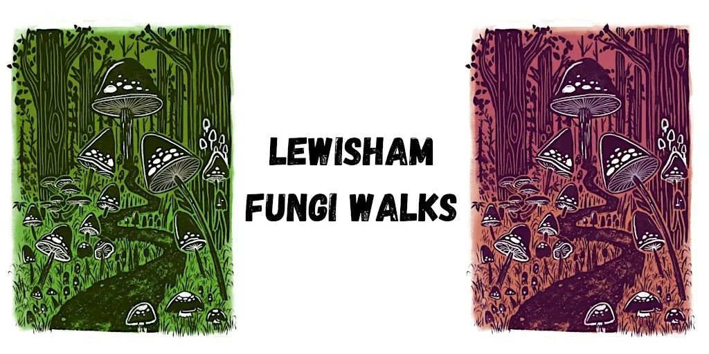 Guided fungi walk - Forster Memorial Park at Forster Memorial Park