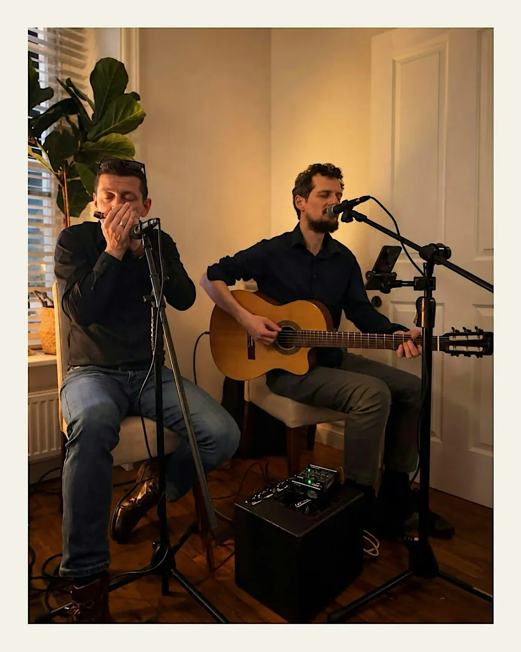 BlackCat Sessions