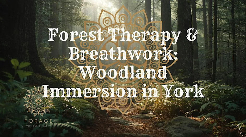 Forest Therapy & Breathwork: Woodland Immersion in York
